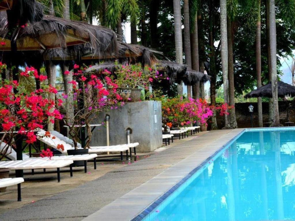 Augusta Pelabuhan Ratu Hotel Sukabumi Exterior foto